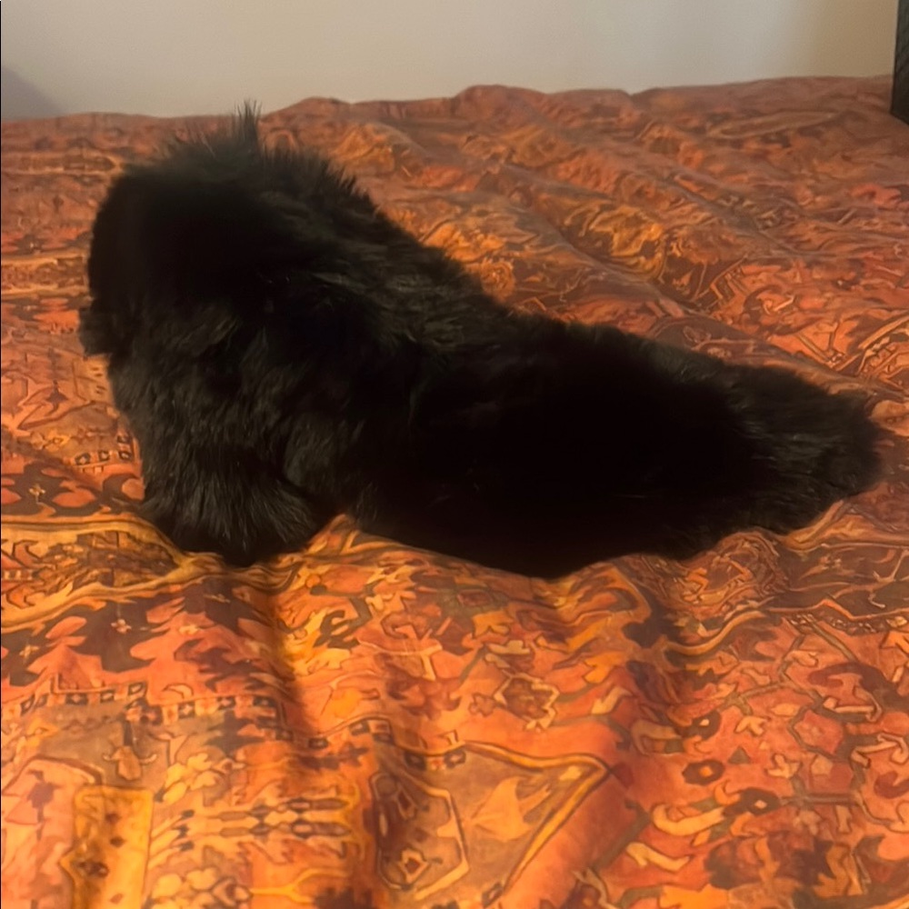 Jeffrey Campbell Black Faux Fur Stole